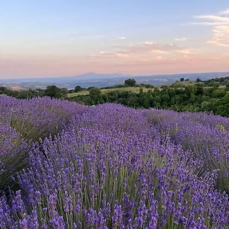 Casale Podere Selvatto, Umbria Villa
