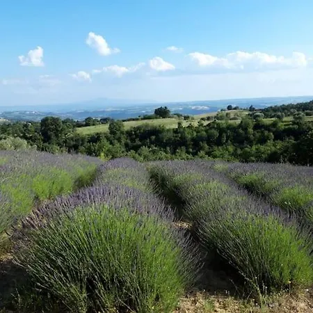 Casale Podere Selvatto, Umbria Villa